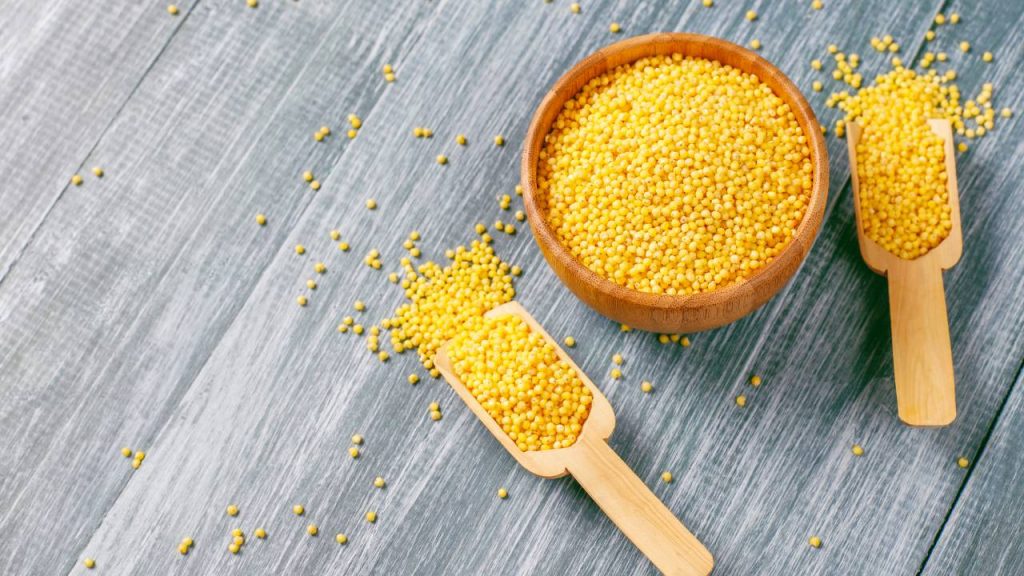 इस बाजरा में फाइबर भी जमकर होता है और इसलिए अगर इसका भात अगर खाया जाए तो शरीर से सारे जहरीले तत्व बाहर निकल जाते हैं. इसमें पाया जाने वाला प्रोटीन बालों को मजबूत बनाता है और त्वचा को चमकदार रखता है.    इस बाजरा में फाइबर भी जमकर होता है और इसलिए अगर इसका भात अगर खाया जाए तो शरीर से सारे जहरीले तत्व बाहर निकल जाते हैं. इसमें पाया जाने वाला प्रोटीन बालों को मजबूत बनाता है और त्वचा को चमकदार रखता है.