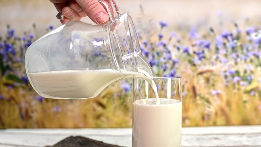 बकरी के दूध में मौजूद प्रोटीन और वसा सेवन के बाद आसानी से पच जाते हैं. अगर किसी को पेट की जलन, गैस, अपच या अन्य पेट संबंधी समस्याएं हैं, तो बकरी का दूध एक अच्छा ऑप्शन हो सकता है. यह आंतों को शांत करता है और पाचन क्रिया को सुधारने में मदद करता है. बकरी के दूध में मौजूद प्रोटीन और वसा सेवन के बाद आसानी से पच जाते हैं. अगर किसी को पेट की जलन, गैस, अपच या अन्य पेट संबंधी समस्याएं हैं, तो बकरी का दूध एक अच्छा ऑप्शन हो सकता है. यह आंतों को शांत करता है और पाचन क्रिया को सुधारने में मदद करता है.