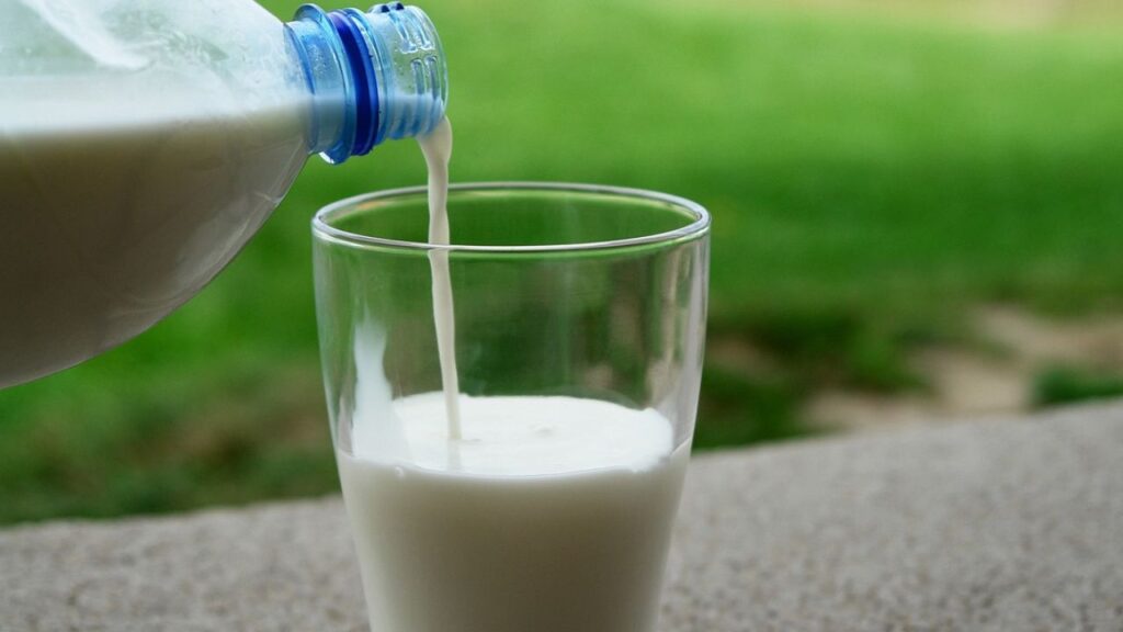 गोट मिल्क डायबिटीज के मरीजों के लिए फायदेमंद हो सकता है. क्योंकि, यह ब्लड शुगर के स्तर को नियंत्रित करने में मदद करता है. इसमें मौजूदा  कैल्शियम शरीर में इंसुलिन के स्तर को नियंत्रित कर शुगर का स्तर सामान्य रखता है.  गोट मिल्क डायबिटीज के मरीजों के लिए फायदेमंद हो सकता है. क्योंकि, यह ब्लड शुगर के स्तर को नियंत्रित करने में मदद करता है. इसमें मौजूदा  कैल्शियम शरीर में इंसुलिन के स्तर को नियंत्रित कर शुगर का स्तर सामान्य रखता है.