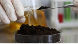 फसल की अच्छी पैदावार के लिए मिट्टी की जांच जरूरी, जानिए कैसे-कब कराएं सॉइल टेस्टिंग फसल की अच्छी पैदावार के लिए मिट्टी की जांच जरूरी, जानिए कैसे-कब कराएं सॉइल टेस्टिंग