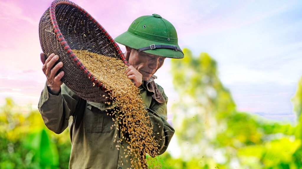 अनाज को कुछ समय के लिए धूप में रखना भी एक अच्छा उपाय है. धूप से न सिर्फ नमी दूर होती है, बल्कि अन्य कीटों का खतरा भी कम होता है. इससे अनाज लंबे समय तक सुरक्षित रहता है.   अनाज को कुछ समय के लिए धूप में रखना भी एक अच्छा उपाय है. धूप से न सिर्फ नमी दूर होती है, बल्कि अन्य कीटों का खतरा भी कम होता है. इससे अनाज लंबे समय तक सुरक्षित रहता है.