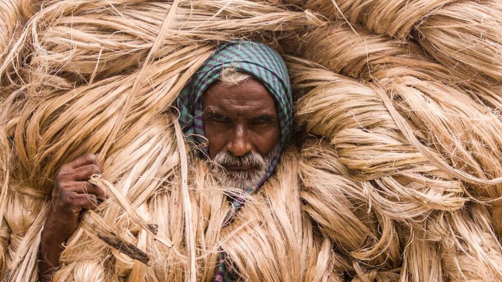Jute rate is more than MSP