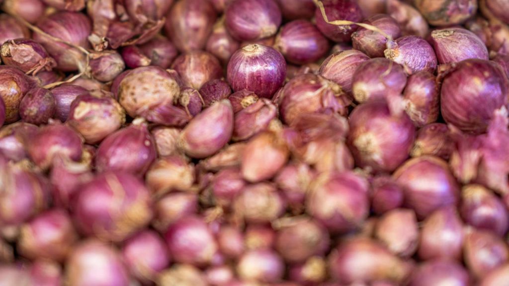 Onion purchase