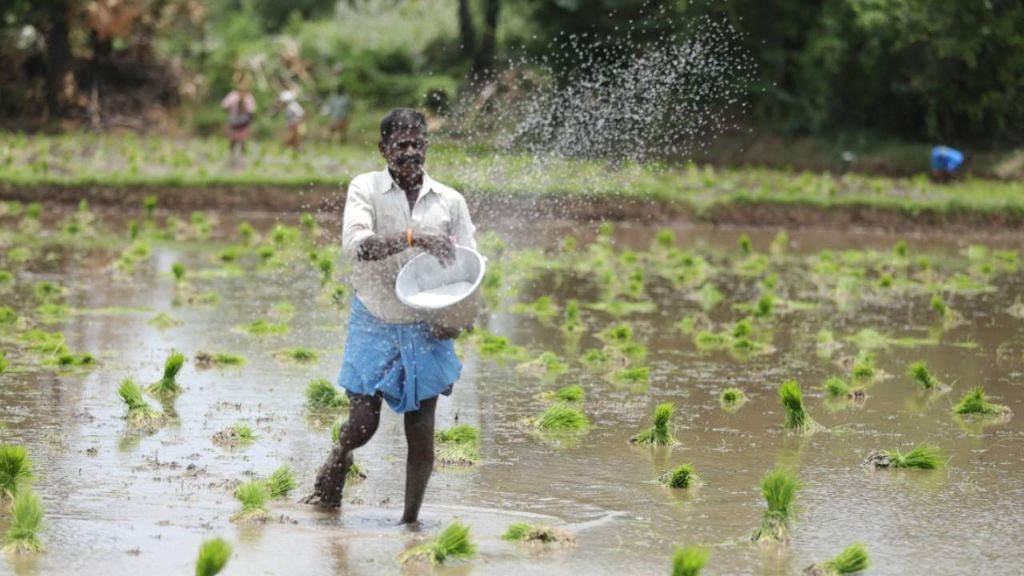 fertilizer shortage