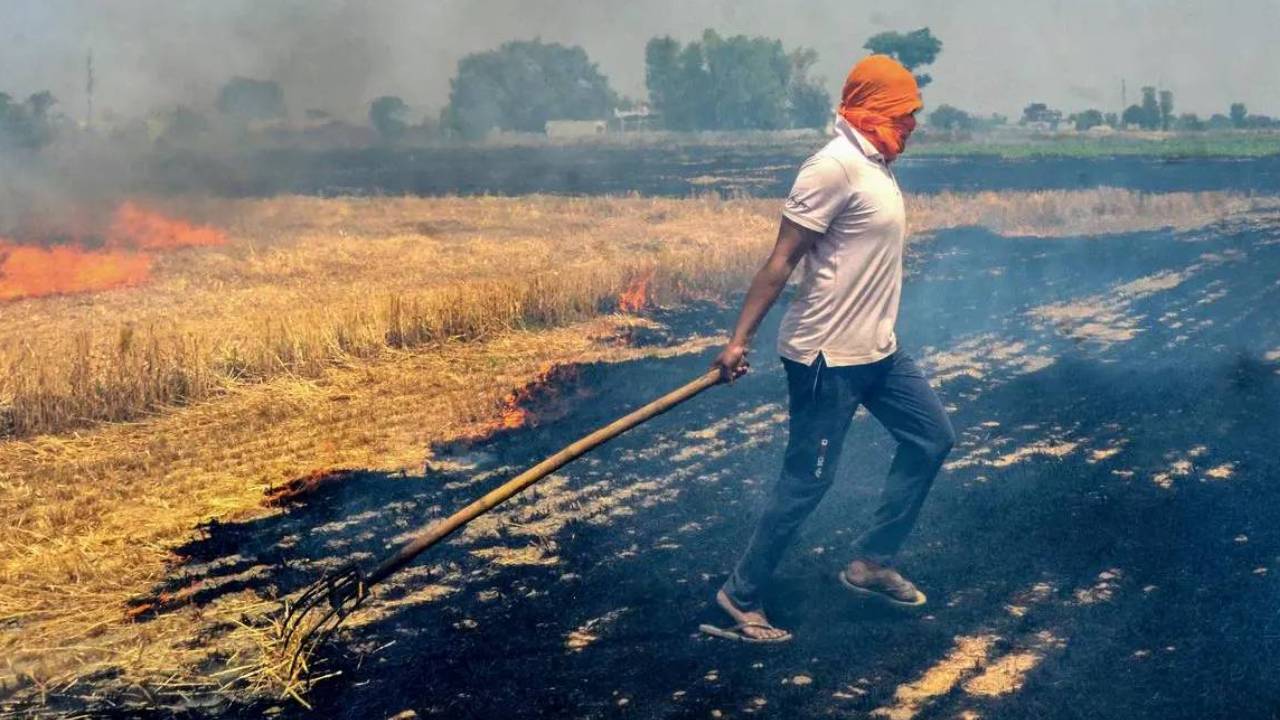 India Wheat Stubble Burning 2026 Rise 23 Percent Madhya Pradesh 69 Share Uttar Pradesh Surge Crop Residue