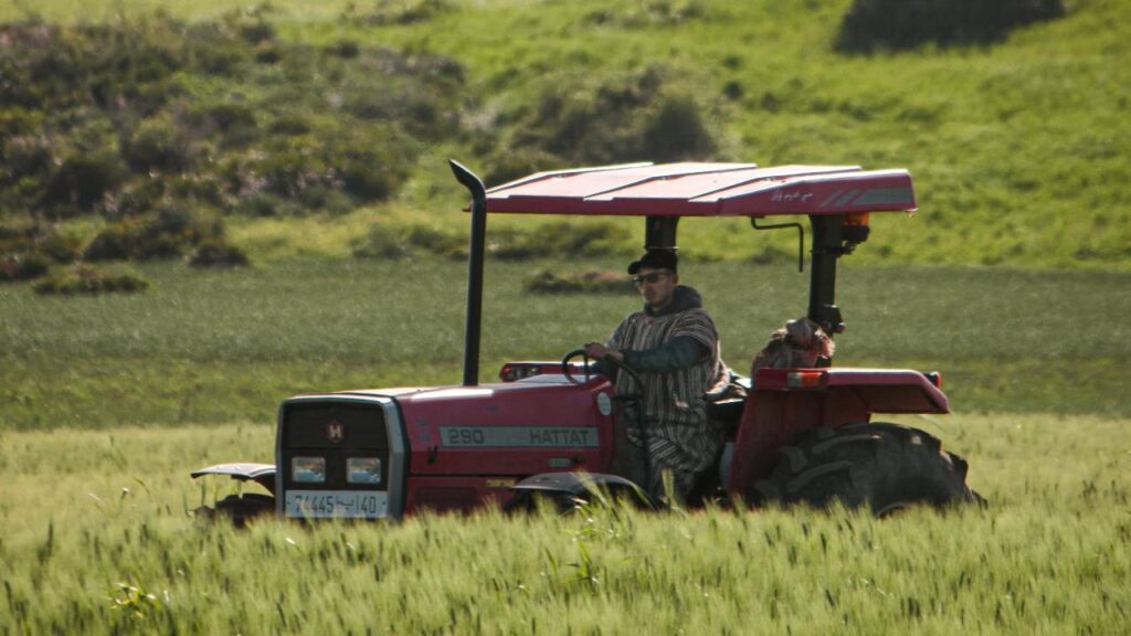ट्रैक्टर के रेडिएटर की सफाई भी बहुत महत्वपूर्ण है. रेडिएटर में गंदगी या ब्लॉकेज होने के कारण ट्रैक्टर में हीट होने की समस्या पैदा हो सकती है. ऐसे में आपको ट्रैक्टर का बोनट खोलकर अच्छी तरह से चेक करना चाहिए कि रेडिएटर में कहीं लीकेज तो नहीं है. अगर लीकेज है तो उसे तुरंत ठीक करवा लें.    ट्रैक्टर के रेडिएटर की सफाई भी बहुत महत्वपूर्ण है. रेडिएटर में गंदगी या ब्लॉकेज होने के कारण ट्रैक्टर में हीट होने की समस्या पैदा हो सकती है. ऐसे में आपको ट्रैक्टर का बोनट खोलकर अच्छी तरह से चेक करना चाहिए कि रेडिएटर में कहीं लीकेज तो नहीं है. अगर लीकेज है तो उसे तुरंत ठीक करवा लें.