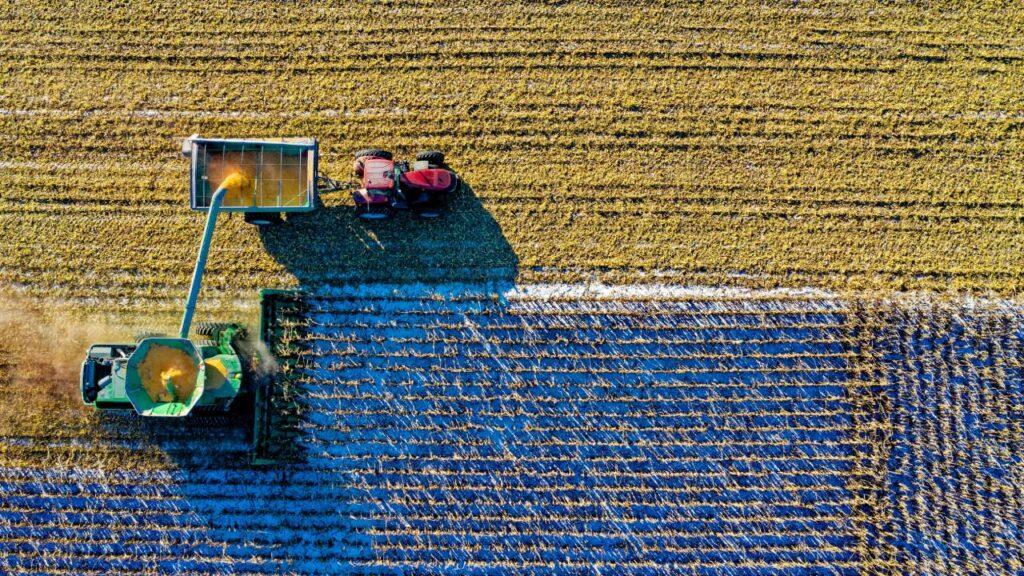 रेडिएटर की सफाई के साथ ही रेडिएटर फैन और इसकी फैनबेल्ट को भी चेक करना चाहिए, क्योंकि यह भी ट्रैक्टर को ठंडा करने में अपना योगदान देती हैं. फसल कटाई के काम से पहले यह देख लेना चाहिए कि रेडिएटर का फैन सही है. कहीं इसकी कोई पंखुड़ी टूटी तो नहीं है. अगर ऐसा है तो उसे बदल देना चाहिए.   रेडिएटर की सफाई के साथ ही रेडिएटर फैन और इसकी फैनबेल्ट को भी चेक करना चाहिए, क्योंकि यह भी ट्रैक्टर को ठंडा करने में अपना योगदान देती हैं. फसल कटाई के काम से पहले यह देख लेना चाहिए कि रेडिएटर का फैन सही है. कहीं इसकी कोई पंखुड़ी टूटी तो नहीं है. अगर ऐसा है तो उसे बदल देना चाहिए.