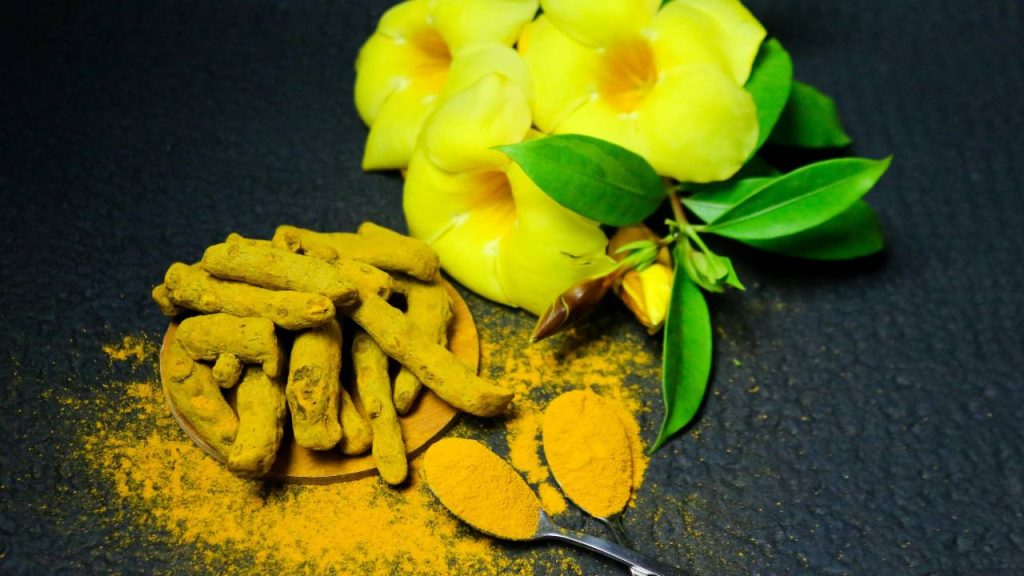 हल्दी की सिम पीतांबर किस्म की खेती किसानों को ज्यादा फायदा देने वाली किस्म हो सकती है. इस किस्म को केंद्रीय औषधीय एवं सगंध अनुसंधान संस्थान (सीमैप) की तरफ से डेवलप किया गया है. इस किस्म से प्रति हेक्टेयर खेती से करीब 65 टन हल्दी कंद का उत्पादन किया जा सकता है. यह किस्म सात से नौ महीने में तैयार हो जाती है.    हल्दी की सिम पीतांबर किस्म की खेती किसानों को ज्यादा फायदा देने वाली किस्म हो सकती है. इस किस्म को केंद्रीय औषधीय एवं सगंध अनुसंधान संस्थान (सीमैप) की तरफ से डेवलप किया गया है. इस किस्म से प्रति हेक्टेयर खेती से करीब 65 टन हल्दी कंद का उत्पादन किया जा सकता है. यह किस्म सात से नौ महीने में तैयार हो जाती है.