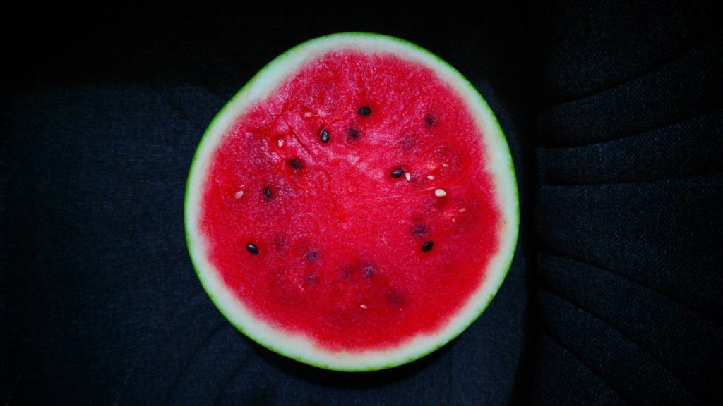 भदौरिया का कहना है कि तरबूज गेहूं और चावल से ज्यादा मुनाफा देने वाली फसल है. हालांकि, उन्होंने यह भी बताया कि इस खास फल की खेती के लिए एक अलग तरीके और ज्यादा ध्यान देने की जरूरत होती है. फंगस हो या न हो, फसल को किसी भी तरह के नुकसान से बचाने के लिए नियमित रूप से कीटनाशक डालना चाहिए.    भदौरिया का कहना है कि तरबूज गेहूं और चावल से ज्यादा मुनाफा देने वाली फसल है. हालांकि, उन्होंने यह भी बताया कि इस खास फल की खेती के लिए एक अलग तरीके और ज्यादा ध्यान देने की जरूरत होती है. फंगस हो या न हो, फसल को किसी भी तरह के नुकसान से बचाने के लिए नियमित रूप से कीटनाशक डालना चाहिए.