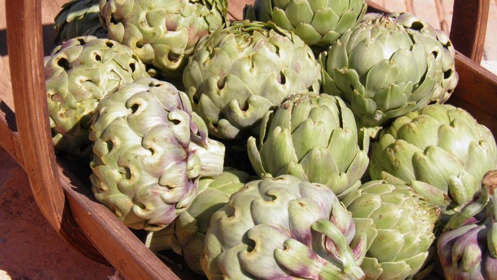 इस पौधे की चार किस्में होती हैं. जिनमें Green Globe जल्दी फल देने वाली और ठंडी जगहों के लिए बेहतर माने जाते हैं. Violetto यह बैंगनी रंग की कलियां, खुद पर खुद हीई खिल जाती हैं. Imperial Star पहले ही साल फल देने वाली वार्षिक किस्म हैं. Emerald इस पौधे में कांटें नहीं होते हैं.   इस पौधे की चार किस्में होती हैं. जिनमें Green Globe जल्दी फल देने वाली और ठंडी जगहों के लिए बेहतर माने जाते हैं. Violetto यह बैंगनी रंग की कलियां, खुद पर खुद हीई खिल जाती हैं. Imperial Star पहले ही साल फल देने वाली वार्षिक किस्म हैं. Emerald इस पौधे में कांटें नहीं होते हैं.