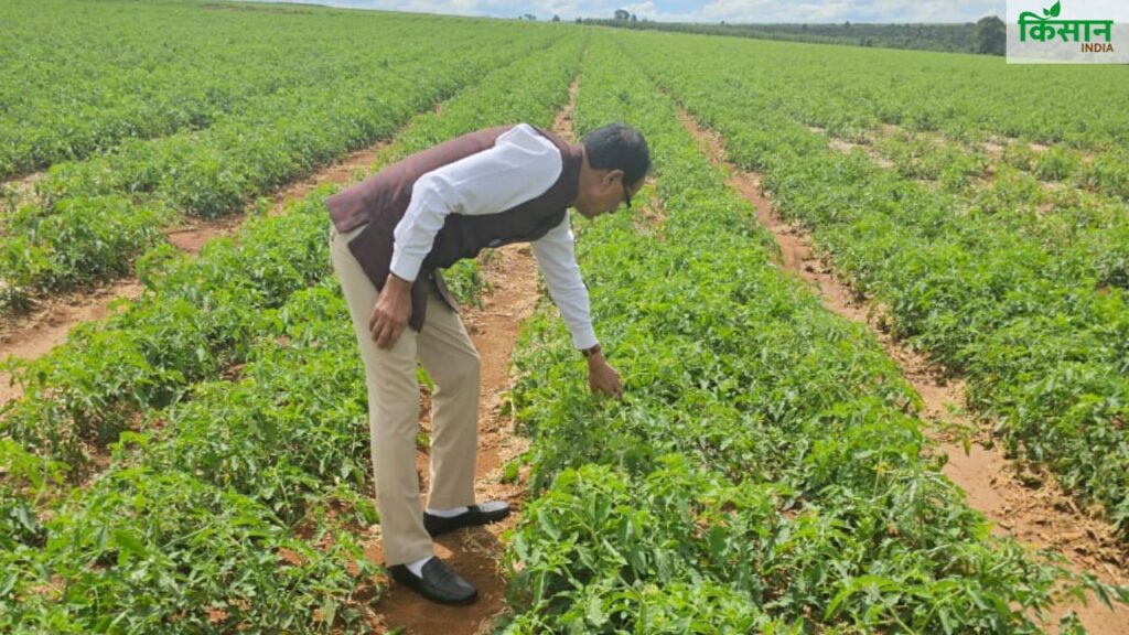 सोयाबीन की खेती पर फोकस करते हुए उन्होंने कहा कि भारत में इस क्षेत्र का काफी स्कोप है. उन्होंने ब्राजील से सहयोग बढ़ाने और मिलकर प्रोसेसिंग प्लांट्स लगाने की बात भी कही ताकि भारत न सिर्फ सोया तेल आयात करे बल्कि भविष्य में निर्यातक भी बन सके. सोयाबीन की खेती पर फोकस करते हुए उन्होंने कहा कि भारत में इस क्षेत्र का काफी स्कोप है. उन्होंने ब्राजील से सहयोग बढ़ाने और मिलकर प्रोसेसिंग प्लांट्स लगाने की बात भी कही ताकि भारत न सिर्फ सोया तेल आयात करे बल्कि भविष्य में निर्यातक भी बन सके.