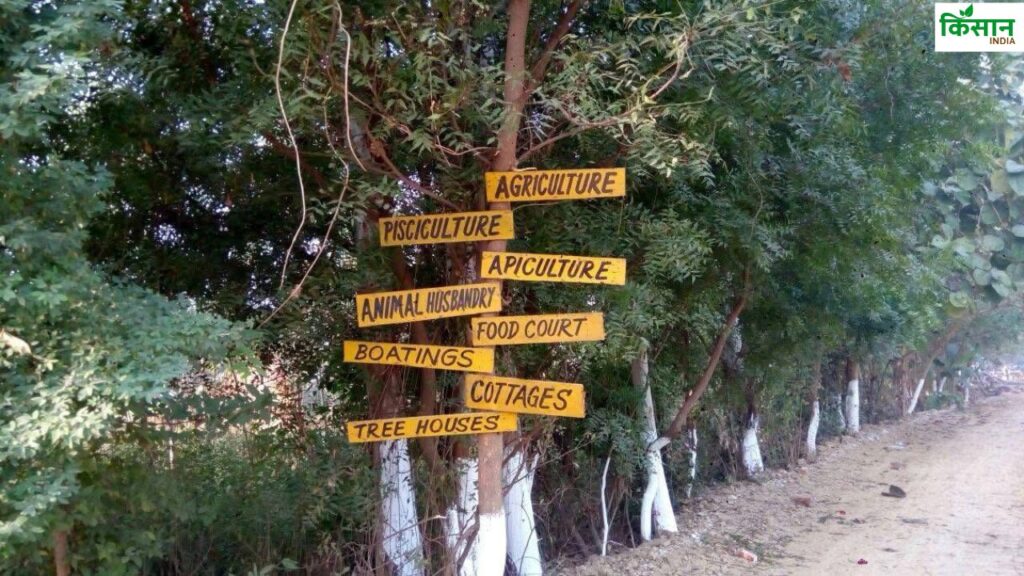 उन्होंने ने 'किसान इंडिया' से बात करते हुए बताया की अपने दो हेक्टेयर जमीन में अनार, अमरूद, शहतूत, आंवला, नींबू, कटहल, आम, अंजीर, सेब समेत कई तरह के फूलों के पेड़ लगा रखे हैं. यह विंटेज विलेज को आकर्षक लुक देता हैं.