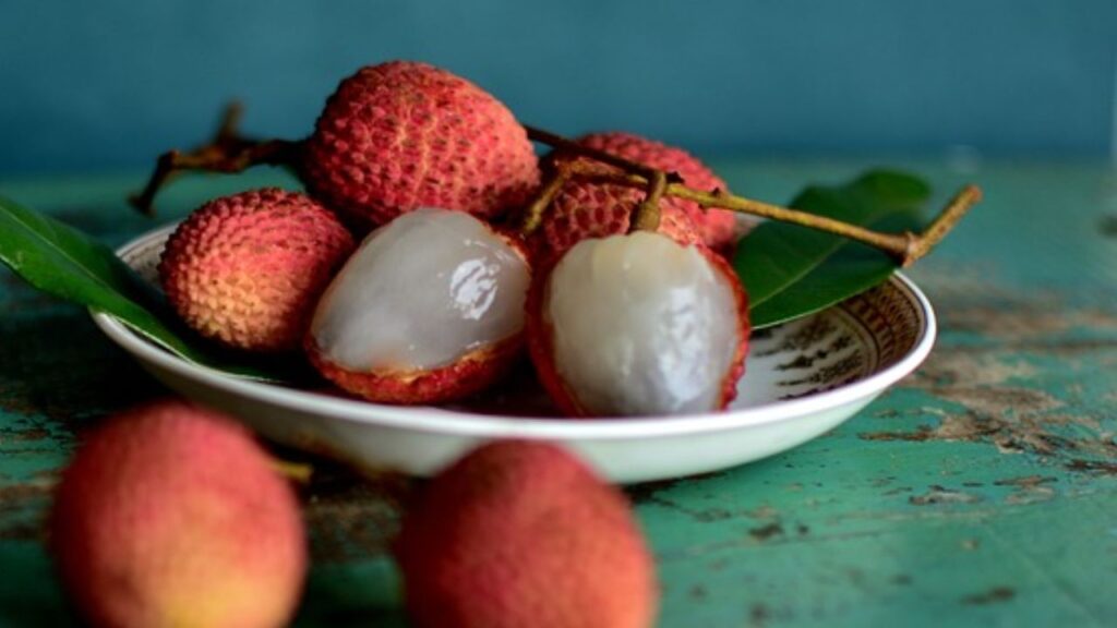 लीची गर्मियों का बेहद खास और रसीला फल है. इसमें विटामिन C और पोटैशियम पाया जाता है जो इम्यून सिस्टम को मजबूत करता है और शरीर में पानी का संतुलन बनाए रखता है. यह दिल के अच्छे स्वस्थ के लिए भी अच्छा माना जाता है. लीची गर्मियों का बेहद खास और रसीला फल है. इसमें विटामिन C और पोटैशियम पाया जाता है जो इम्यून सिस्टम को मजबूत करता है और शरीर में पानी का संतुलन बनाए रखता है. यह दिल के अच्छे स्वस्थ के लिए भी अच्छा माना जाता है.