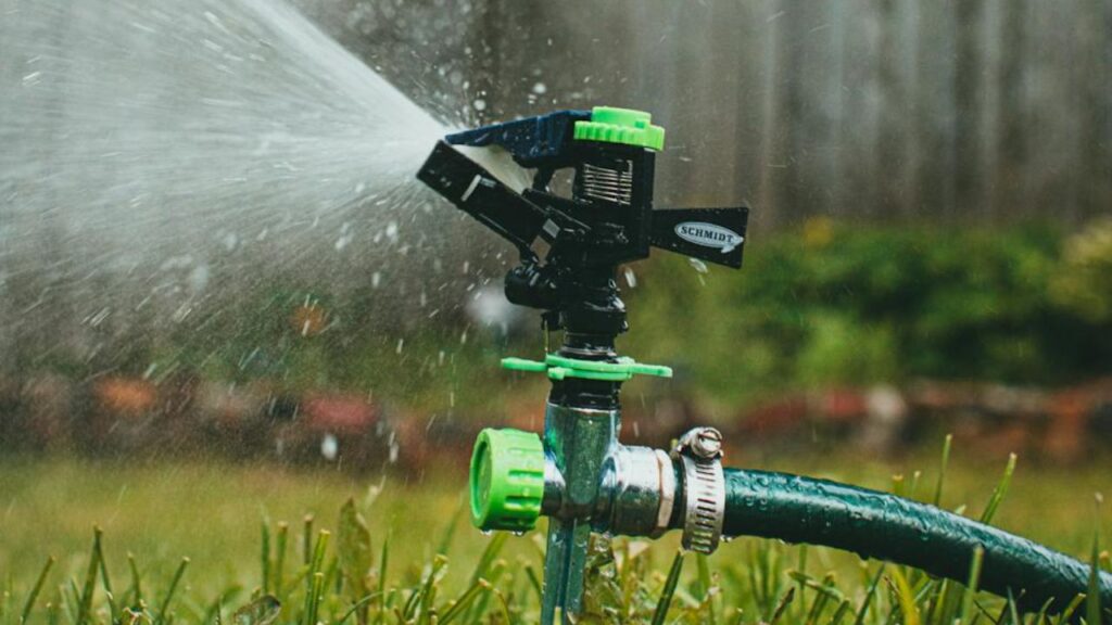 जिसे पौधे को उतने ही पानी और न्यूट्रिएंट्स मिलती है जितनी जितनी आवश्यकता होती है. साथ ही ब्राजील में कॉर्न की प्रति हेक्टेयर उपज 22 टन तक की है.  जिसे पौधे को उतने ही पानी और न्यूट्रिएंट्स मिलती है जितनी जितनी आवश्यकता होती है. साथ ही ब्राजील में कॉर्न की प्रति हेक्टेयर उपज 22 टन तक की है.