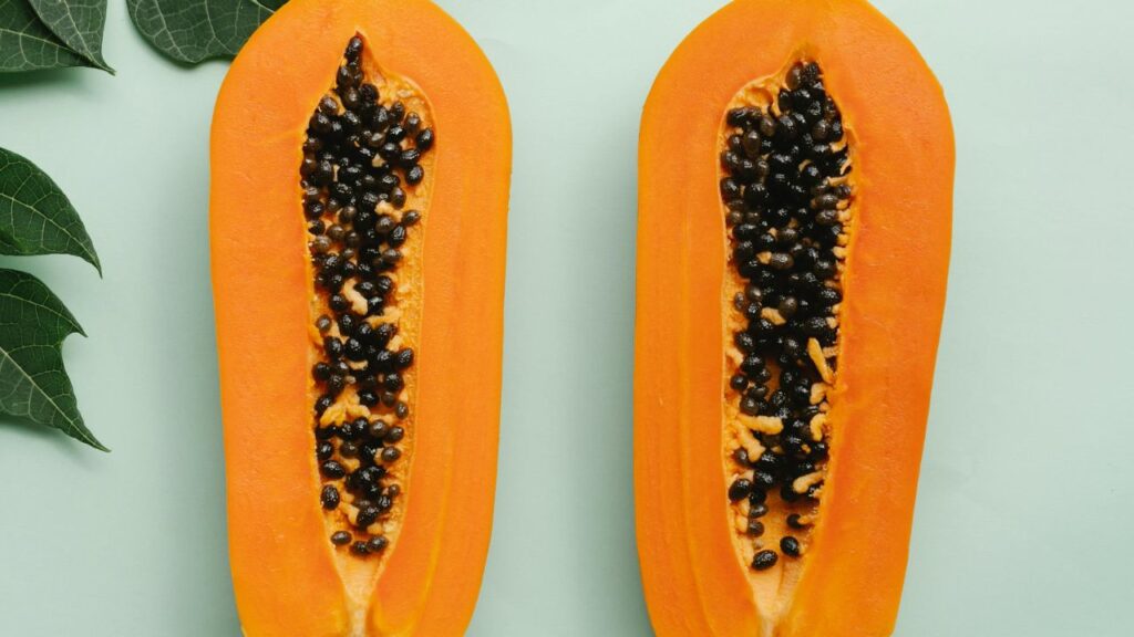 गर्मियों में पपीता खाने से कई फायदे होते हैं. यह शरीर को हाइड्रेटेड रखने, पाचन तंत्र को मजबूत बनाने और स्किन को ग्लोइंग बनाता है. पपीते में विटामिन सी और एंटीऑक्सीडेंट भरपूर मात्रा में होते हैं जो शरीर को बीमारियों से बचाने में मदद करते हैं.   गर्मियों में पपीता खाने से कई फायदे होते हैं. यह शरीर को हाइड्रेटेड रखने, पाचन तंत्र को मजबूत बनाने और स्किन को ग्लोइंग बनाता है. पपीते में विटामिन सी और एंटीऑक्सीडेंट भरपूर मात्रा में होते हैं जो शरीर को बीमारियों से बचाने में मदद करते हैं.