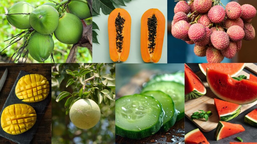 ऐसे में आज हम कुछ ऐसे फलों की जानकारी लाएं हैं जो न सिर्फ स्वाद में बेहतरीन होते हैं, बल्कि सेहत के लिए भी बेहद फायदेमंद माने जाते हैं. आइए जानते हैं गर्मियों में इन फलों के सेवन से होने वाले फायदों के बारें में.  ऐसे में आज हम कुछ ऐसे फलों की जानकारी लाएं हैं जो न सिर्फ स्वाद में बेहतरीन होते हैं, बल्कि सेहत के लिए भी बेहद फायदेमंद माने जाते हैं. आइए जानते हैं गर्मियों में इन फलों के सेवन से होने वाले फायदों के बारें में.