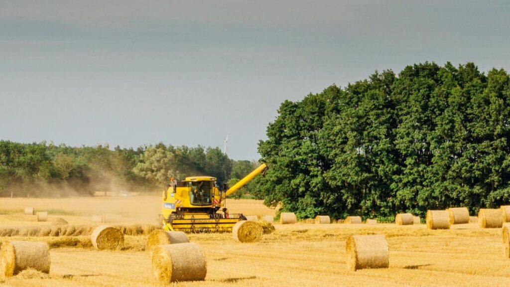 इसके साथ ही उन्होंने ब्राजील के कृषि विशेषज्ञों और व्यापारियों को भारत आने और संभावनाओं को तलाशने का न्योता दिया है. और कहा की 'वसुधैव कुटुंबकम' का जिक्र करते हुए कहा कि भारत और ब्राजील मिलकर दुनिया की खाद्य सुरक्षा में बड़ा योगदान दे सकते हैं. इसके साथ ही उन्होंने ब्राजील के कृषि विशेषज्ञों और व्यापारियों को भारत आने और संभावनाओं को तलाशने का न्योता दिया है. और कहा की 'वसुधैव कुटुंबकम' का जिक्र करते हुए कहा कि भारत और ब्राजील मिलकर दुनिया की खाद्य सुरक्षा में बड़ा योगदान दे सकते हैं.