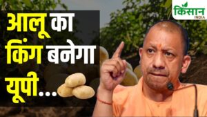 यूपी बनेगा किंग ऑफ वेजिटेबल्स..कई शहरों में आलू विकास केंद्र खोलने की घोषणा