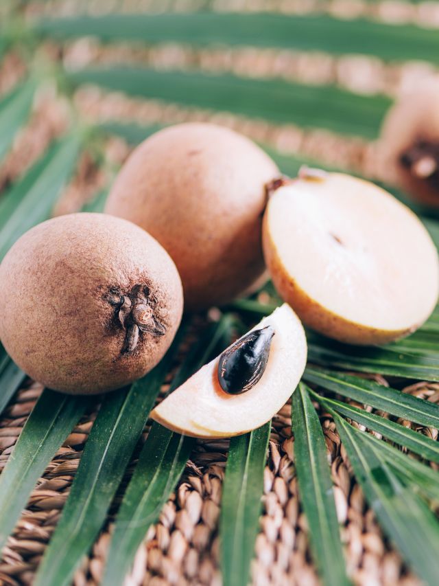 घर पर चीकू उगाना है बेहद आसान, जानें पूरा प्रोसेस!