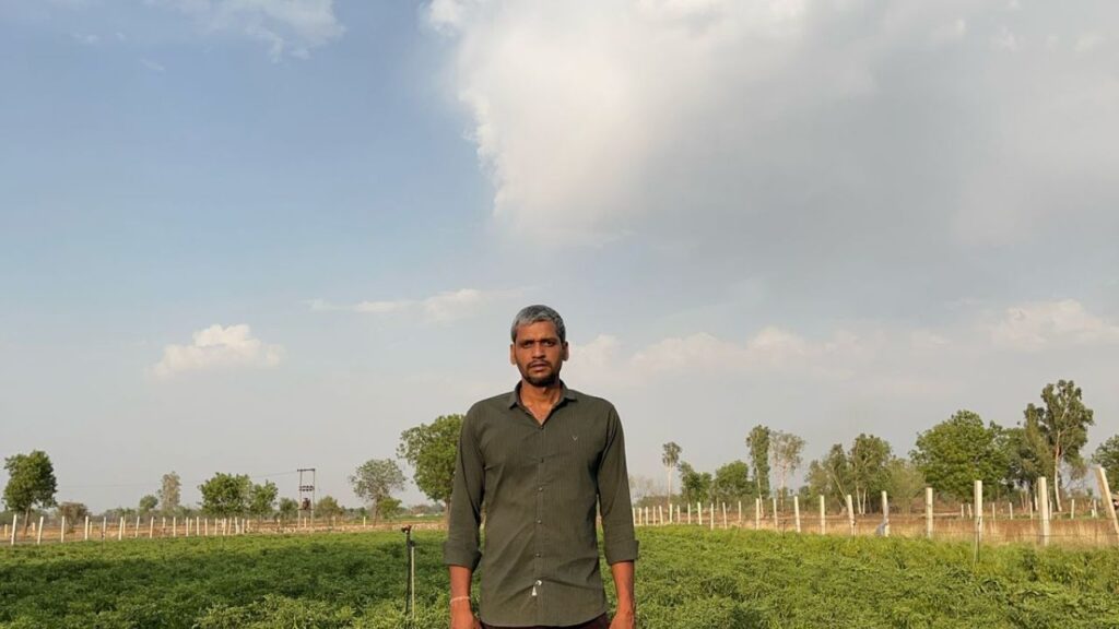 कन्हैयालाल के पास जमीन ज्यादा नहीं थी, लेकिन इरादे बड़े थे. उसने तय किया कि जितनी भी जमीन है, उसका पूरा-पूरा इस्तेमाल करना है. खेती शुरू करने से पहले एक साल की ट्रेनिंग ली और उसके बाद खेत को ऐसे डिजाइन किया. आज उसकी 5 बीघा जमीन में आम, लहसुन, मिर्च, और सब्जियों की इंटरक्रॉपिंग होती है. हर हिस्से से कमाई होती है. जो लोग कहते थे कि छोटी जोत में कुछ नहीं हो सकता, कन्हैयालाल ने उन्हें गलत साबित कर दिया. उन्होंने 5 बीघा को 20 बीघा जितना बना दिखाया. कन्हैयालाल के पास जमीन ज्यादा नहीं थी, लेकिन इरादे बड़े थे. उसने तय किया कि जितनी भी जमीन है, उसका पूरा-पूरा इस्तेमाल करना है. खेती शुरू करने से पहले एक साल की ट्रेनिंग ली और उसके बाद खेत को ऐसे डिजाइन किया. आज उसकी 5 बीघा जमीन में आम, लहसुन, मिर्च, और सब्जियों की इंटरक्रॉपिंग होती है. हर हिस्से से कमाई होती है. जो लोग कहते थे कि छोटी जोत में कुछ नहीं हो सकता, कन्हैयालाल ने उन्हें गलत साबित कर दिया. उन्होंने 5 बीघा को 20 बीघा जितना बना दिखाया.