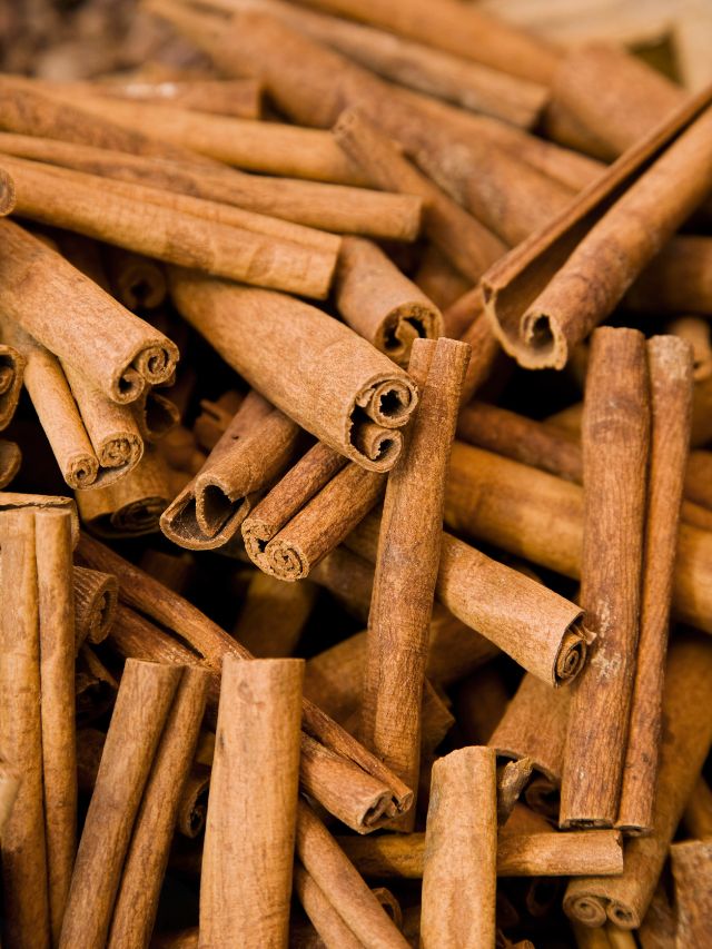 घर में लगाएं दालचीनी का पौधा, खुशबू और सेहत दोनों मिलेगी फ्री!