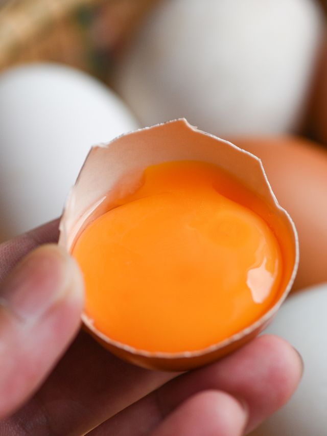 ठंड में रोज खाएं अंडे, फायदे जान रह जाएंगे दंग!