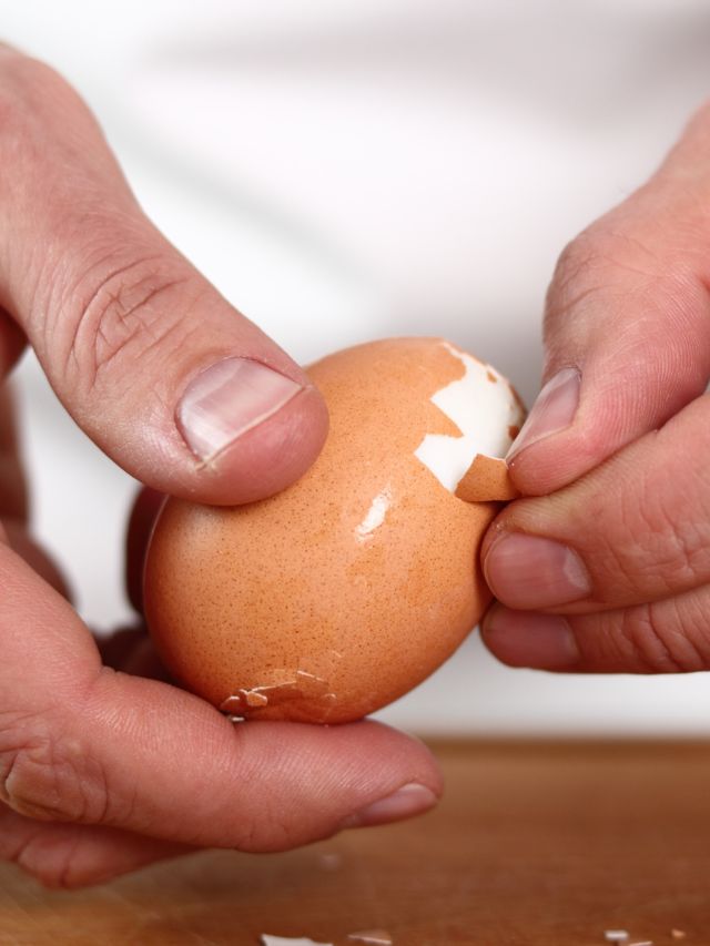 पौधों के लिए वरदान से कम नहीं ये छिलके, ऐसे करें इस्तेमाल!