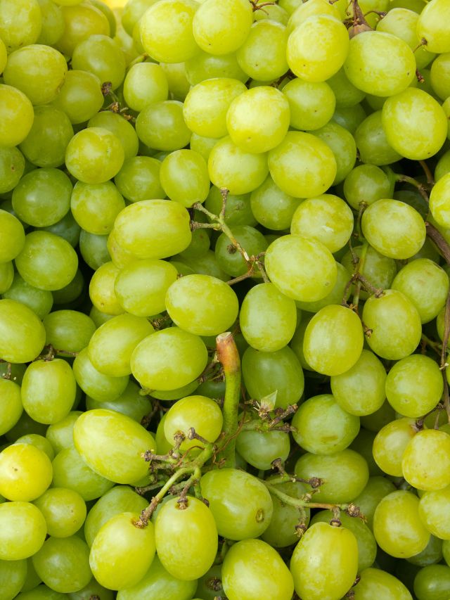 घर पर उगा सकते हैं ताजा रसीले अंगूर, जानें आसान तरीका!