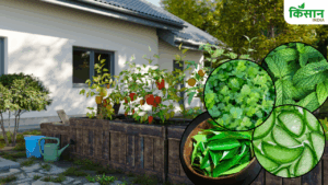 बार-बार बोने की टेंशन खत्म, ये 5 पौधे देंगे सालों तक फसल