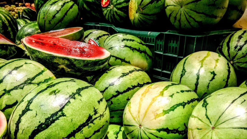 जब आप तरबूज को हल्के से थपथपाते हैं तो उसकी आवाज से अंदाजा लगाया जा सकता है कि वह कैसा है. अगर आवाज खोखली और गूंजती हुई है, तो तरबूज पका और मीठा होता है. अगर आवाज भारी और ठोस हो, तो वह अधपका या कम रसीला हो सकता है. जब आप तरबूज को हल्के से थपथपाते हैं तो उसकी आवाज से अंदाजा लगाया जा सकता है कि वह कैसा है. अगर आवाज खोखली और गूंजती हुई है, तो तरबूज पका और मीठा होता है. अगर आवाज भारी और ठोस हो, तो वह अधपका या कम रसीला हो सकता है.