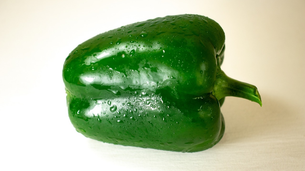 हर 15-20 दिन में प्राकृतिक या जैविक खाद का उपयोग कर सकते हैं. यह पौधों की वृद्धि और फल देने की प्रक्रिया को तेज करता है. जब शिमला मिर्च का रंग बदलने लगे और वह पूरी तरह से आकार में आ जाए, तो समझ लें कि फल तैयार हैं. हर 15-20 दिन में प्राकृतिक या जैविक खाद का उपयोग कर सकते हैं. यह पौधों की वृद्धि और फल देने की प्रक्रिया को तेज करता है. जब शिमला मिर्च का रंग बदलने लगे और वह पूरी तरह से आकार में आ जाए, तो समझ लें कि फल तैयार हैं.