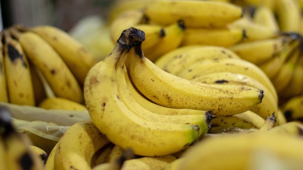 Solapur Farmers Make Global Debut with First Banana Export to Oman