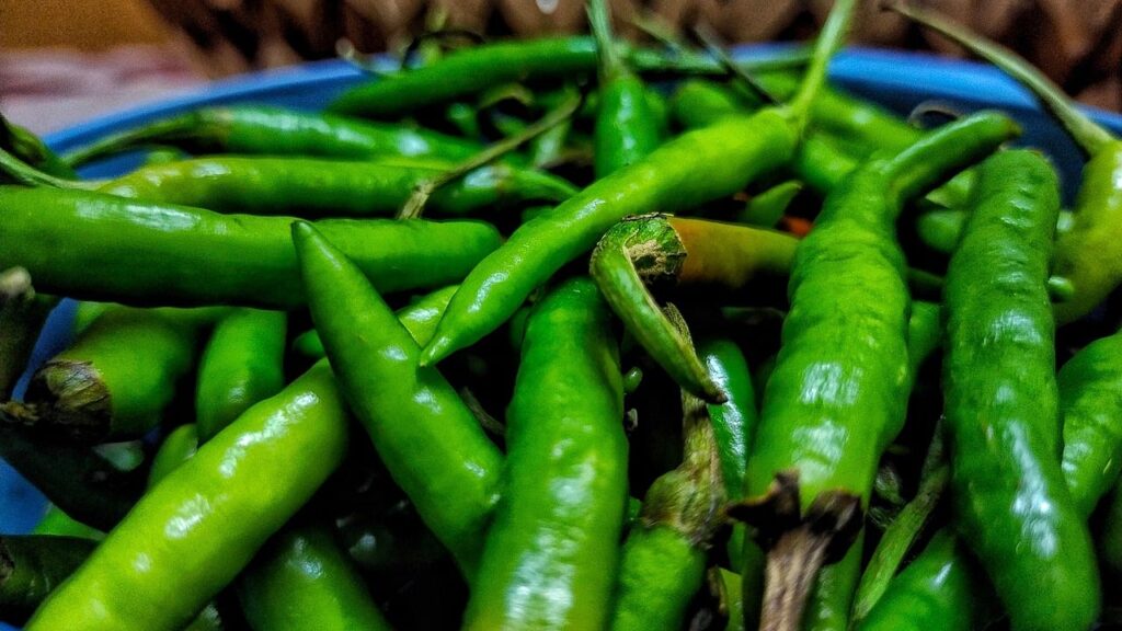 बीजों को अंकुरित होने में 1-2 हफ्ते का समय लग सकता है. जब बीज अंकुरित हो जाएं, तो उन्हें 12 इंच गहरे गमले में ट्रांसफर कर दें. गमले में जल निकासी के लिए नीचे छेद जरूर करें.  बीजों को अंकुरित होने में 1-2 हफ्ते का समय लग सकता है. जब बीज अंकुरित हो जाएं, तो उन्हें 12 इंच गहरे गमले में ट्रांसफर कर दें. गमले में जल निकासी के लिए नीचे छेद जरूर करें.