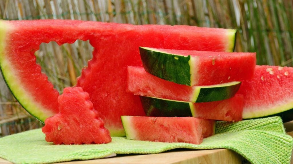 इसलिए जब पौधा थोड़ा बड़ा हो जाए तो उसके बेलों को सहारे की जरूरत होती है, ताकि बेलें अच्छे से फैल सकें. तरबूज के पौधे को नियमित पानी की जरूरत होती है. लेकिन ध्यान रहें कि पानी की मात्रा ज्यादा ना हो वरना जड़ सड़ सकती है.