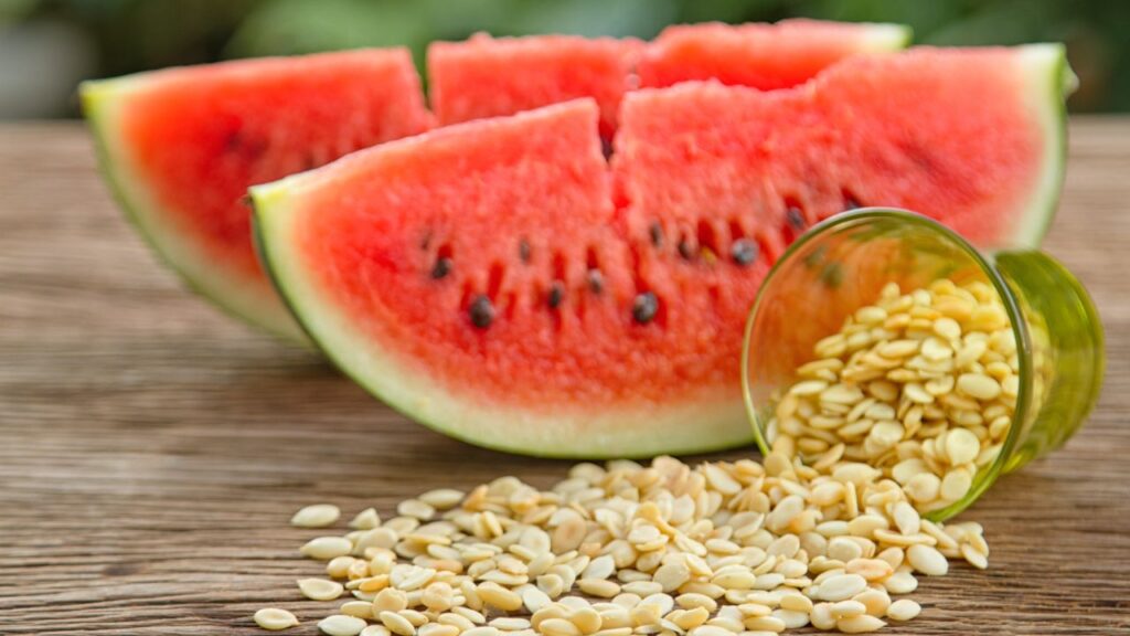 Centre Cracks Down on Illegal Watermelon Seed Imports: Major Action Against Smuggling and Fake Licenses