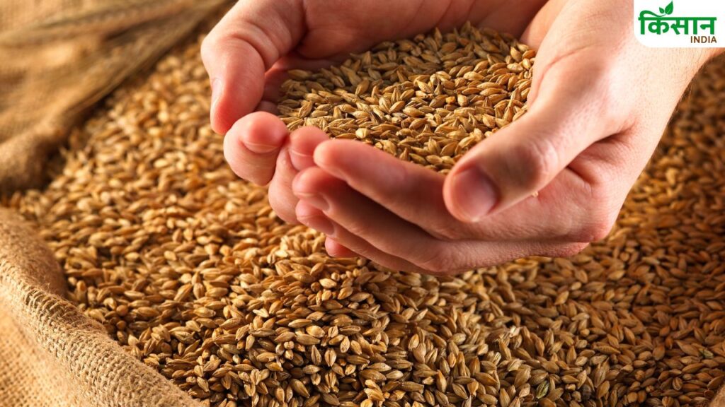 Big Companies Now Buying Directly from FPOs, Boosting Farmer Incomes