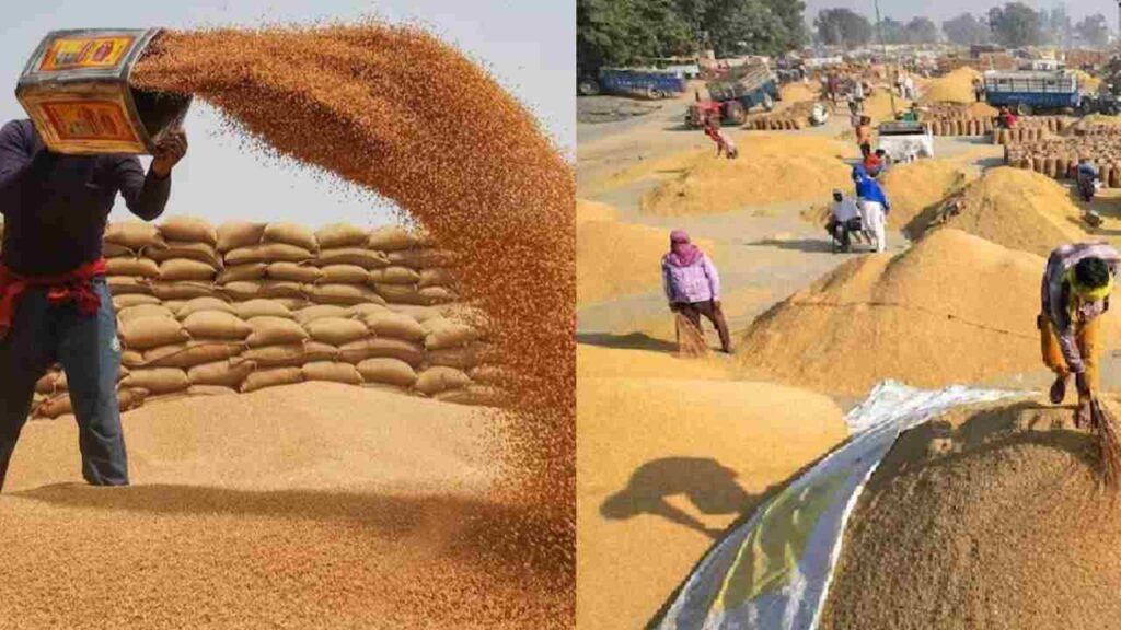 wheat procurement