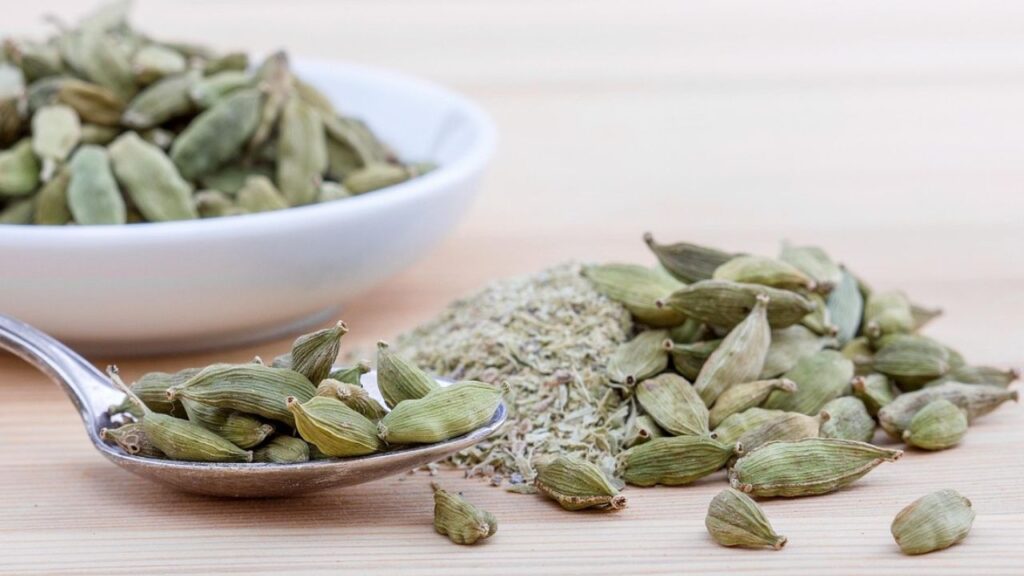 आमतौर पर इलायची की खेती पहाड़ी इलाकों में होती है, लेकिन आप इसे अपने घर के आंगन या बालकनी में भी उगा सकते हैं. घर पर इलायची का पौधा लगाने के लिए सबसे पहले सही गमला या कंटेनर चुनें.  आमतौर पर इलायची की खेती पहाड़ी इलाकों में होती है, लेकिन आप इसे अपने घर के आंगन या बालकनी में भी उगा सकते हैं. घर पर इलायची का पौधा लगाने के लिए सबसे पहले सही गमला या कंटेनर चुनें.