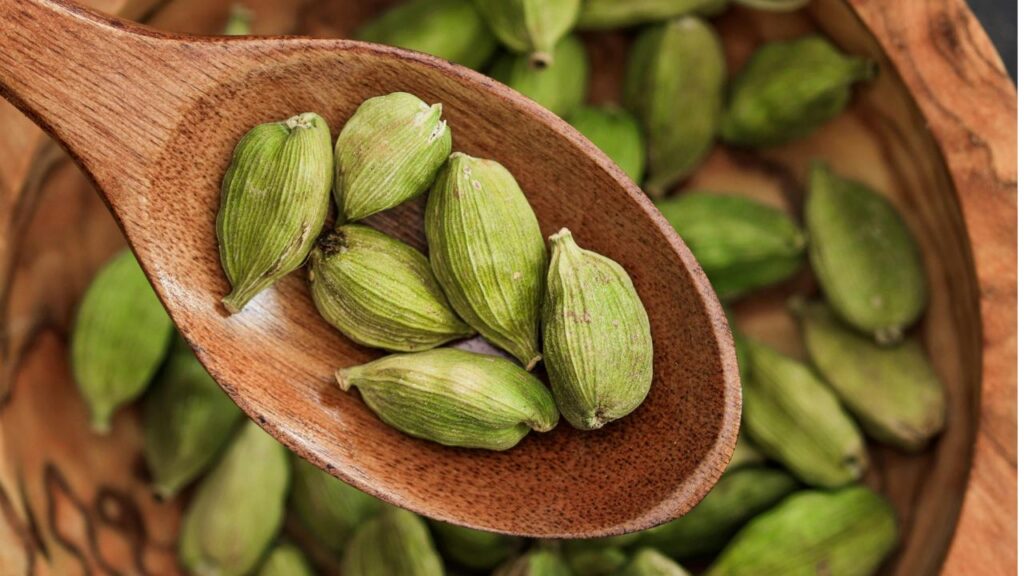 इलायची के पौधे को गर्म और नम जलवायु की जरूरत होती है, इसलिए इसे ऐसे स्थान पर उगाएं जहां पर्याप्त धूप मिले लेकिन ध्यान रहे कि पौधे को सीधी धूप की बजाय छायादार धूप मिले. इलायची के पौधे को गर्म और नम जलवायु की जरूरत होती है, इसलिए इसे ऐसे स्थान पर उगाएं जहां पर्याप्त धूप मिले लेकिन ध्यान रहे कि पौधे को सीधी धूप की बजाय छायादार धूप मिले.