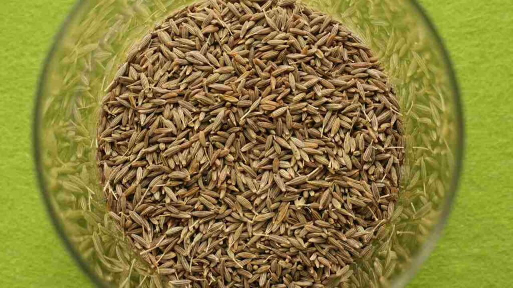 cumin mandi rates
