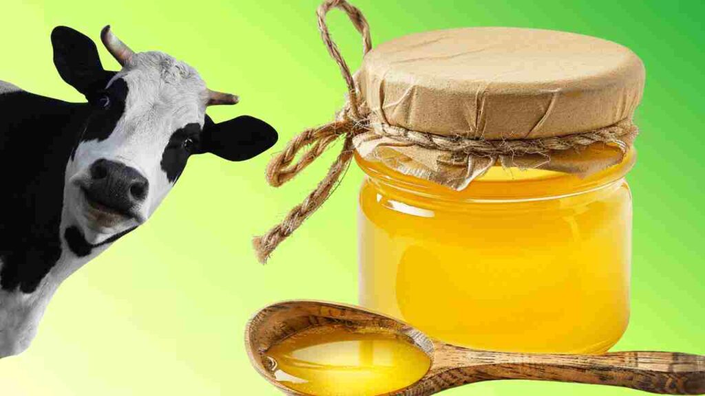 Dairy Industry Pushes for 5% GST on Ghee Ahead of Council Meet