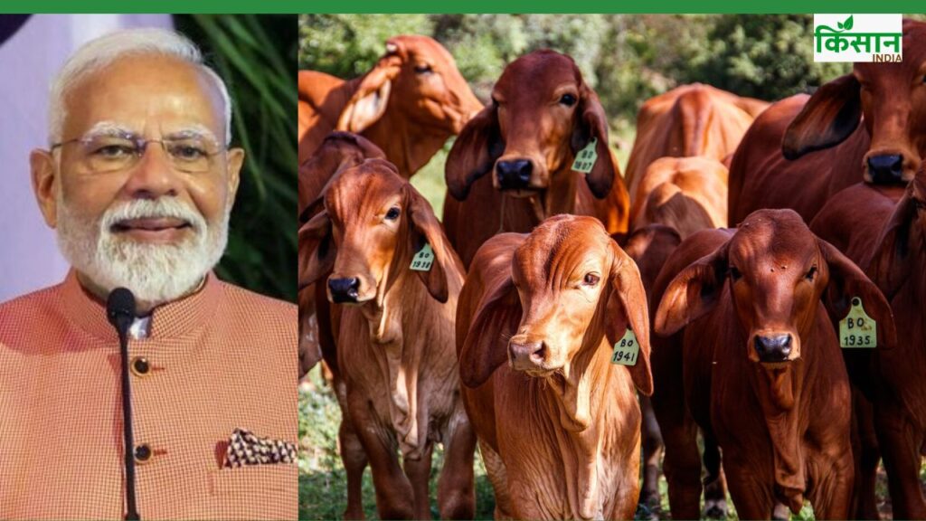 milk production PM Modi