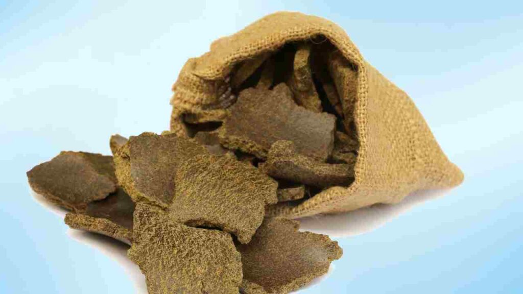 India oilmeal export