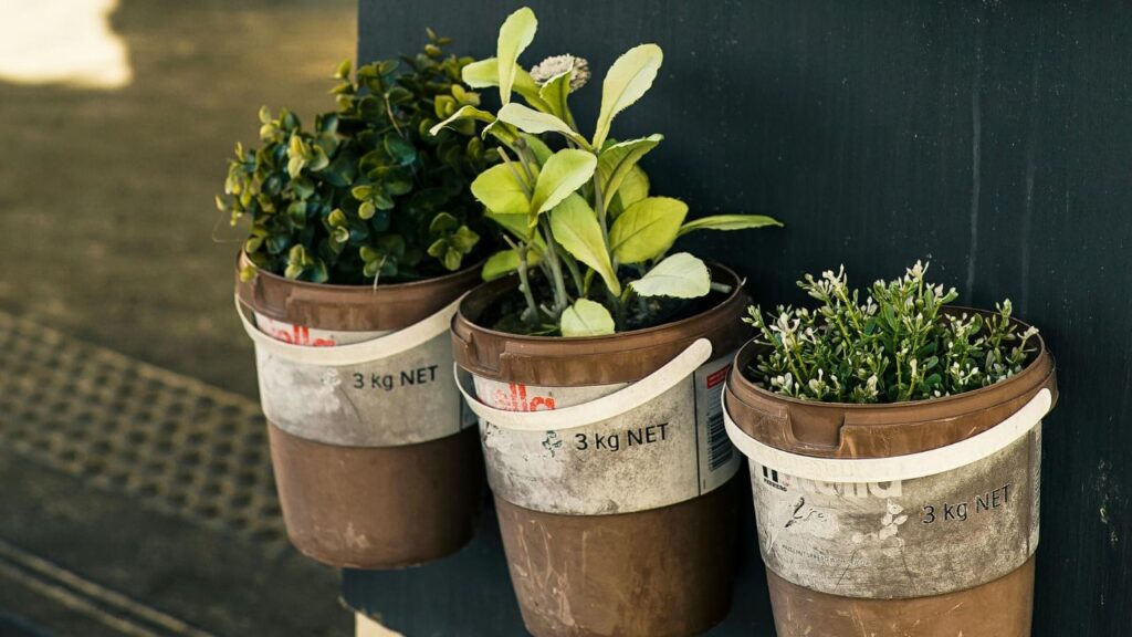 हरे पत्तों वाली जड़ी-बूटियों को एक साथ ज़्यादा न काटें. एक बार में एक-तिहाई हिस्सा ही लें. फूलों वाली जड़ी-बूटियों को तब काटें जब वे कली में हों, ताकि उनमें सबसे ज्यादा खुशबू बनी रहे. सूखी चाय के लिए पत्तों को साफ करके हवा में सुखाएं और फिर एयरटाइट डिब्बों में रखें. और आवश्यकता अनुसार इस्तेमाल करें. 