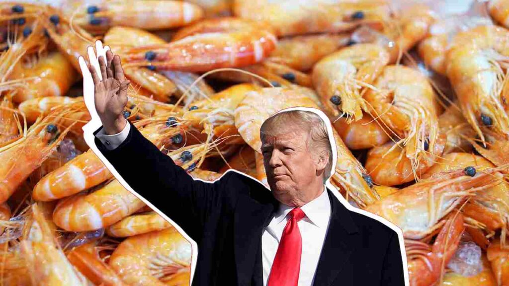 US Tariffs Hit Indian Shrimp Industry: Farmers Struggle as Exports Decline