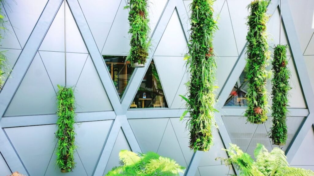 इसका मतलब है पौधों को ऊपर की दिशा में उगाना, यानी आप पौधों को जमीन पर लगाने के बजाय दीवारों, रेलिंग्स, खिड़कियों और अन्य ऊंची जगहों का उपयोग कर सकते हैं. इस तरीके से आप छोटी जगहों पर भी बड़े-बड़े पौधे उगा सकते हैं. यह बागवानी का एक बहुत ही किफायती और आकर्षक तरीका है.  इसका मतलब है पौधों को ऊपर की दिशा में उगाना, यानी आप पौधों को जमीन पर लगाने के बजाय दीवारों, रेलिंग्स, खिड़कियों और अन्य ऊंची जगहों का उपयोग कर सकते हैं. इस तरीके से आप छोटी जगहों पर भी बड़े-बड़े पौधे उगा सकते हैं. यह बागवानी का एक बहुत ही किफायती और आकर्षक तरीका है.