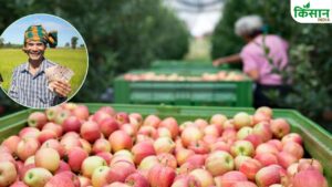 तुर्की सेब पर रोक.. हिमाचल-यूके के किसानों की भरेगी जेब, पढ़ें वैज्ञानिक ने क्या कहा