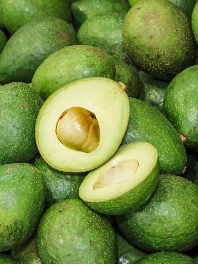 फरवरी के अंत में बालकनी में उगाएं एवोकाडो, जानें आसान तरीका!