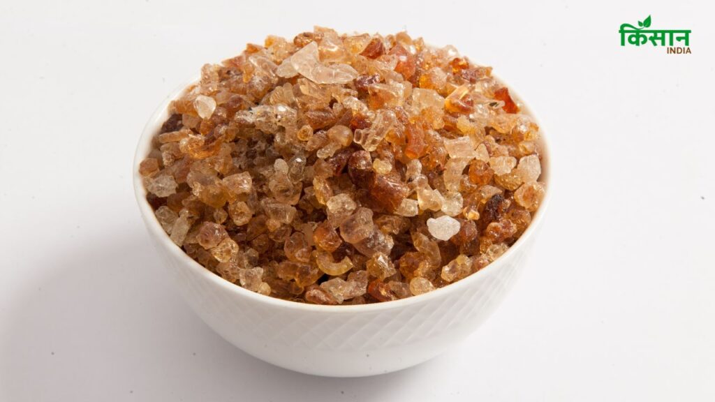 Gond की तासीर गर्म होती है, इसलिए इसे सर्दियों में खाया जाता है ताकि शरीर में गर्माहट बनी रहे. वहीं, गोंद कतीरा ठंडी तासीर वाला होता है, जिसे गर्मियों में लू, घबराहट और डिहाइड्रेशन से बचने के लिए सेवन किया जाता है.