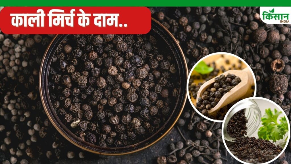 Spice Price